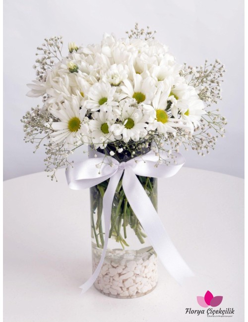 Silindir Vazoda Papatya