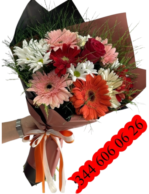 Renkli Gerbelalar ve Tek Gül