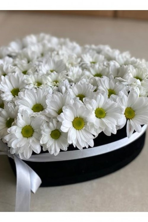 Kalp Kutuda Beyaz Papatya Kalp Kutuda Beyaz Papatya