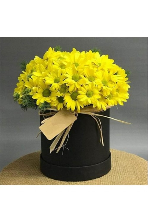 Kutuda Sarı Papatya Kutuda Sarı Papatya