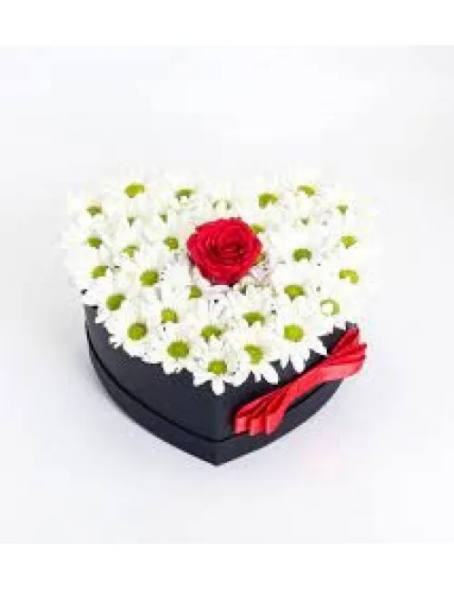 Kalp Kutuda Beyaz Papatya Tek Gül