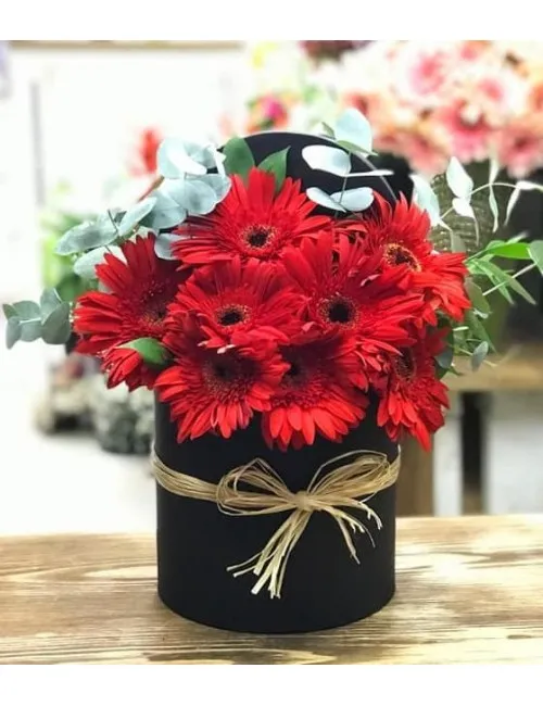 Kutuda Kırmızı Gerbelalar